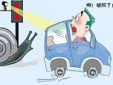 �������ͼƬ