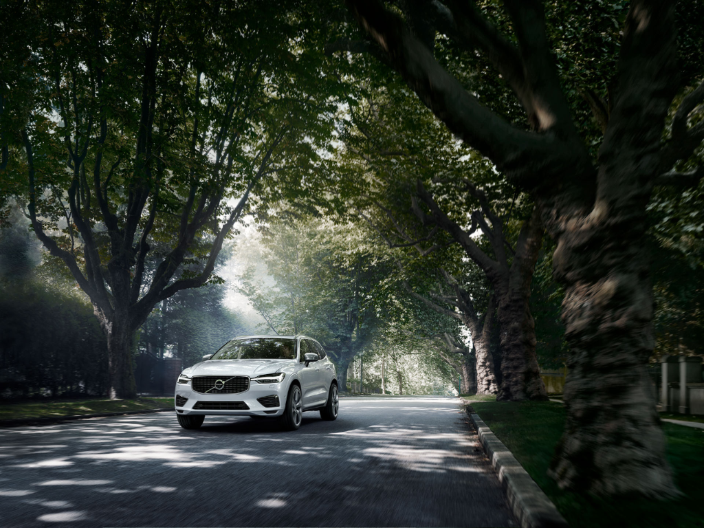 271810402072.png TIM00241-中图.png